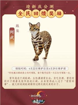 菏泽私服天龙八部